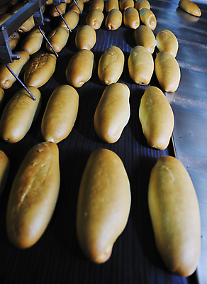 포토 JPG 해외이미지 빵 공장 실내 사람없음 기계 일렬 해외202004 해외포토 음식 공업 내부 파일형식 이미지허브