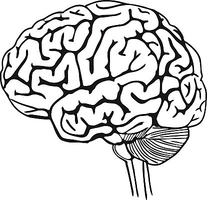 EPS 해외이미지 과학 백그라운드 일러스트 해부 사람 그래픽 약 머리 검은색 흰색 마음 감각 오르간 불안 문신 심볼 뇌 시스템 고립 해외202004 해외일러스트 감정 컬러 의학 신체부위 건반악기 파일형식 벡터 이미지허브