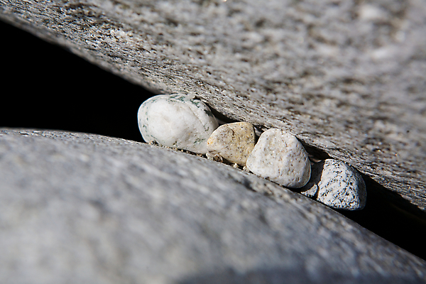 포토 JPG 해외이미지 배너 백그라운드 자연 벽지 추상 사람없음 환경 회색 질감 내추럴 생태학 많음 해외202004 해외포토 교육 컬러 컨셉 무늬 생태계 파일형식 이미지허브
