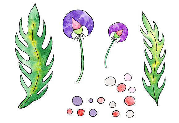 포토 JPG 해외이미지 식물 디자인 꽃 종이 백그라운드 잎 꽃무늬 패턴 일러스트 자연 수채화 미술 사람없음 그래픽 장식 초록색 여름 정원 페인트 봄 벚꽃 흰색 그리기 그림 질감 해외202004 해외포토 계절 컬러 무늬 모션 문화예술 생태계 파일형식 이미지허브