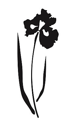 EPS 해외이미지 식물 꽃잎 꽃 줄기 백그라운드 잎 꽃무늬 일러스트 자연 발렌타인데이 세로 초록색 여름 파란색 노란색 정원 보라색 봄 벚꽃 흰색 신선 개화 꽃집 제비꽃 심볼 오브젝트 싱글 붓꽃 내추럴 고립 해외202004 해외일러스트 계절 컬러 무늬 데이이벤트 상점 생태계 파일형식 벡터 이미지허브