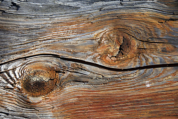 포토 JPG 해외이미지 나무 백그라운드 패턴 사람없음 목재 장식 갈색 우주 수확 시골 판넬 거친 널 질감 복고 그런지 수목 옛날 해외202004 해외포토 식물 컬러 무늬 농업 재료 파일형식 이미지허브