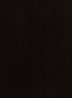 포토 JPG 해외이미지 디자인 산업 백그라운드 패턴 표면 사람없음 세로 갈색 공백 얼룩 거친 가죽 피부 타일 질감 옛날 인공 해외202004 해외포토 컬러 무늬 신체부위 파일형식 이미지허브