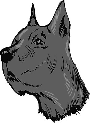 EPS 해외이미지 동물 일러스트 자연 미술 그래픽 반려동물 머리 검은색 힘 양치기 우아함 개 큼 만화 스케치 심볼 손그림 고립 해외202004 해외일러스트 직업 컬러 컨셉 포유류 문화예술 신체부위 크기 생태계 파일형식 벡터 이미지허브