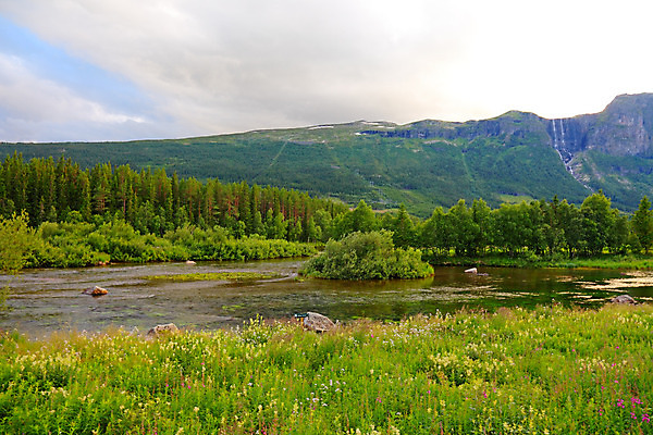포토 JPG 해외이미지 나무 구름 유럽 바다 여행 자연 하늘 휴가 산 프레임 노르웨이 풍경 사람없음 야외 초록색 물 여름 파란색 강 평화 환경 계곡 바위 시골 신용카드 숲 작음 가득함 언덕 장면 북쪽 내추럴 서쪽 스칸디나비아 해외202004 해외포토 자연요소 식물 계절 나라 컬러 컨셉 금융 돌_바위 크기 방향 생태계 파일형식 이미지허브