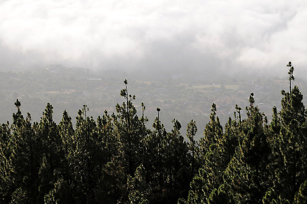 포토 JPG 해외이미지 나무 구름 계절 공원 백그라운드 자연 하늘 아침 산 안테나 풍경 사람없음 빛 일출 환경 일몰 안개 숲 열대우림 폭풍 전국 눈내림 해외202004 해외포토 주간 자연요소 식물 공공시설 통신 날씨 눈_날씨 노을 생태계 파일형식 이미지허브