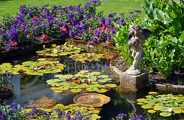 포토 JPG 해외이미지 식물 꽃 꽃무늬 사람없음 초록색 물 컬러풀 정원 보라색 침묵 봄 벚꽃 연못 개화 분수 해외202004 해외포토 자연요소 계절 컬러 무늬 소리 파일형식 이미지허브