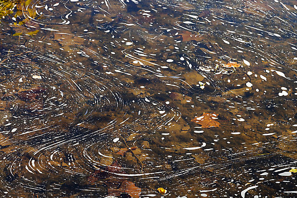 포토 JPG 해외이미지 나무 식물 계절 공원 백그라운드 잎 패턴 오렌지 자연 벽지 추상 프레임 기술 사람없음 야외 장식 가로 빨간색 햇빛 갈색 노란색 보라색 침묵 활발 가을 나뭇가지 그룹 변화 황금 숲 11월 심볼 질감 장면 흙더미 10월 해외202004 해외포토 공공시설 컬러 컨셉 무늬 과일 태양 소리 흙 날짜 생태계 파일형식 더미 이미지허브