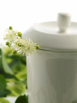 포토 JPG 해외이미지 나무 식물 공원 꽃 잎 꽃무늬 과일 자연 건강 사람없음 컵 여름 약 봄 머그컵 벚꽃 나뭇가지 신선 잠 차 달콤 맛 허브 라임 내추럴 꽃수술 추출 치료제 투입 해외202004 해외포토 식기 계절 공공시설 음료 컨셉 무늬 의학 모션 생태계 파일형식 이미지허브