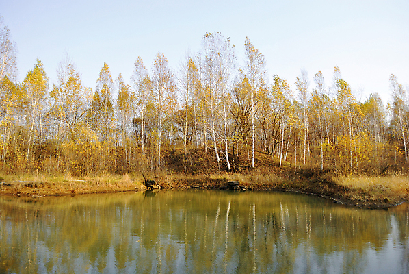 포토 JPG 해외이미지 나무 호수 파도 잎 자연 하늘 표면 풍경 사람없음 야외 초록색 물 여름 파란색 햇빛 반사 환경 침묵 자유 시골 숲 땅 장면 멀리 내추럴 해외202004 해외포토 자연요소 식물 계절 바다 컬러 컨셉 태양 소리 생태계 파일형식 이미지허브