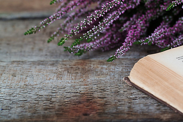 포토 JPG 해외이미지 식물 디자인 꽃 종이 백그라운드 꽃무늬 탁자 사람없음 목재 장식 책 여름 파란색 다이어리 쪽지 공책 침묵 공백 추위 수확 골동품 덮개 흰색 시골 잡지 비밀 다발 복고 페이지 내추럴 그런지 옛날 스타일 해외202004 해외포토 나무 계절 컬러 가구 컨셉 무늬 농업 재료 문구용품 간행물 사무용품 소리 뚜껑 파일형식 이미지허브