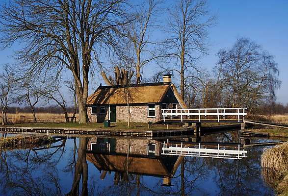 포토 JPG 해외이미지 나무 자연 하늘 주택 국립공원 사람없음 물 반사 연못 네덜란드 보호구역 해외202004 해외포토 자연요소 식물 공원 유럽 건물 생태계 구역 파일형식 이미지허브