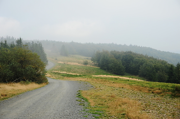 포토 JPG 해외이미지 나무 식물 계절 도로 백그라운드 잎 자연 아침 날씨 그림자 풍경 사람없음 초록색 빛 태양 환경 어둠 안개 가을 숲 신비 공상 마법 땅바닥 뿌연 해외202004 해외포토 주간 자연요소 길 컬러 컨셉 교통시설 바닥 생태계 파일형식 이미지허브