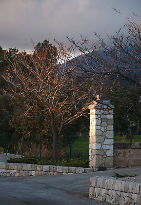 포토 JPG 해외이미지 나무 계절 섬 백그라운드 밭 자연 풍경 사람없음 야외 초록색 햇빛 맑음 봄 바위 흰색 나뭇가지 시골 스페인 묘사 부드러움 내추럴 길가 해외202004 해외포토 식물 유럽 컬러 농업 날씨 태양 돌_바위 감각 생태계 파일형식 이미지허브