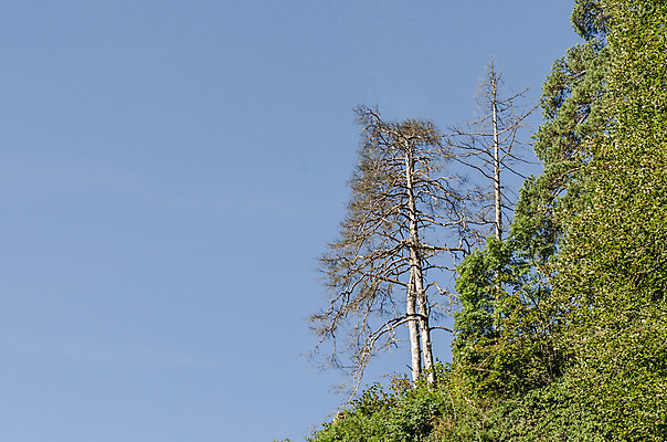 포토 JPG 해외이미지 구름 계절 공원 여행 잎 밭 자연 산 파노라마 풍경 사람없음 초록색 여름 빛 태양 일출 맑음 일몰 봄 새벽 하이킹 장비 바위 숲 시력 장면 주말 천국 내일 옛날 수평선 해외202004 해외포토 자연요소 식물 공공시설 컬러 농업 레저 날씨 촬영기법 노을 돌_바위 생태계 파일형식이미지허브 