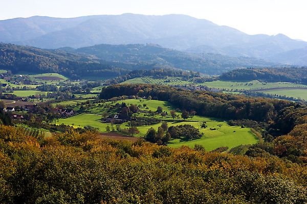 포토 JPG 해외이미지 나무 식물 구름 계절 여행 자연 하늘 산 독일 풍경 사람없음 세로 초록색 파란색 노란색 계곡 미국 가을 흰색 정상 숲 9월 북쪽 상록수 침엽수 첨탑 서쪽 전국 절정 콜로라도 수평선 해외202004 해외포토 자연요소 유럽 컬러 북아메리카 탑 날짜 방향 생태계 파일형식 이미지허브