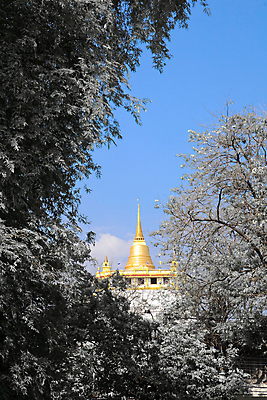 포토 JPG 해외이미지 전통 외관 아시아 종교 문화 조각 불교 건축양식 태국 지붕 산 미술 동양인 인종 사람없음 사찰 화려 영혼 역사 황금 고급 방콕 수도원 웅장함 해외202004 해외포토 건축 나라 컨셉 종교건축 문화예술 사람 파일형식 이미지허브