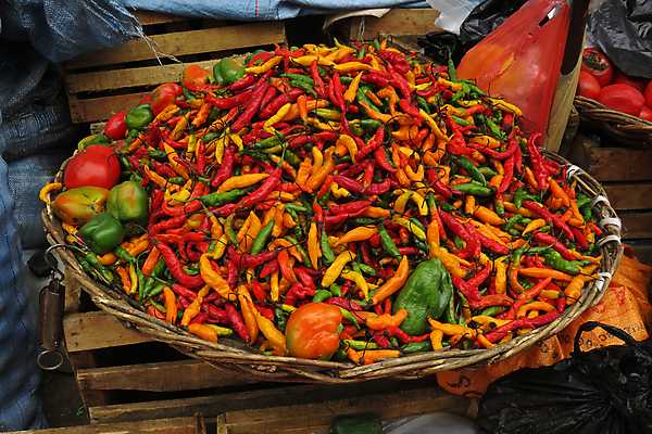 포토 JPG 해외이미지 식물 음식 백그라운드 농업 채소 오렌지 재료 자연 고추 피망 멕시코 건조 건강 요리 사람없음 빨간색 초록색 컬러풀 농장 노란색 정원 미국 신선 뜨거움 시장 원주민 맛 농부 먹기 유기농 매움 날것 후추 남쪽 내추럴 볼리비아 숙성 채식주의자 해외202004 해외포토 직업 웰빙 산업 컬러 컨셉 북아메리카 과일 모션 아메리카 아프리카인 방향 향신료 생태계 채식 파일형식 이미지허브