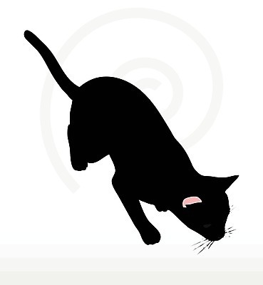 EPS 해외이미지 모양 동물 실루엣 포즈 일러스트 포유류 자연 그림자 사람없음 그래픽 반려동물 검은색 고양이 호랑이 사자 스케치 흰배경 윤곽 표범 고립 엘리먼트 재규어 스라소니 해외202004 해외일러스트 컬러 백그라운드 촬영기법 미술 흰색 생태계 파일형식 벡터 이미지허브