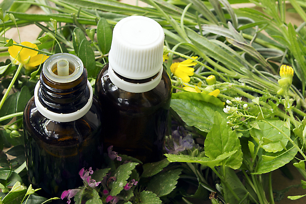 포토 JPG 해외이미지 식물 꽃 컨셉 잎 건강 사람없음 치료 초록색 알약 약 정원 들꽃 벚꽃 신선 약초 허브 유기농 향기 아로마테라피 테라피 보충 치료제 해외202004 해외포토 웰빙 컬러 의학 뷰티 풀_식물 냄새 파일형식 이미지허브