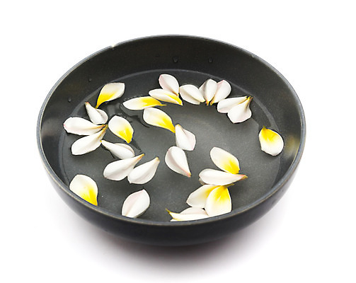 포토 JPG 해외이미지 식물 꽃 아시아 선 백그라운드 꽃무늬 태국 휴식 따뜻함 사람없음 장식 물 평화 스파 벚꽃 클래식 우아함 집중 명상 휴양지 향기 아로마 발리 부드러움 지역 환영 쉬운 이국적 해외202004 해외포토 자연요소 나라 섬 컨셉 무늬 장소 감각 냄새 인도네시아 파일형식 이미지허브