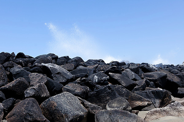 포토 JPG 해외이미지 공원 벽 파도 바다 여행 자연 조류 풍경 사람없음 야외 물 보호 방파제 캘리포니아 해외202004 해외포토 자연요소 동물 공공시설 컨셉 미국 생태계 파일형식 이미지허브
