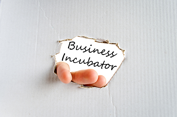 포토 JPG 해외이미지 손 백그라운드 컨셉 인터넷 회사 비즈니스 성공 사람없음 금융 단어 사무실 디지털 웹 터치 과학기술 성장 흰색 목표 계획 서비스 시작 대학교 언론 클릭 전략 온라인 자원 개발 경영 방법 지원 프로그램 해외202004 해외포토 문자 컬러 학교 기술 신체부위 경제 파일형식 이미지허브