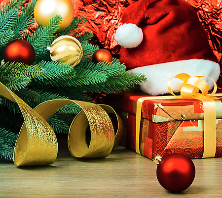 포토 JPG 해외이미지 나무 전통 디자인 열매 백그라운드 크리스마스 공 자연 휴가 새로움 선물 미술 사람없음 목재 장식 빨간색 초록색 우주 장식볼 수확 나뭇가지 축하 인사 소나무 눈송이 화려 연도 복고 원뿔 내추럴 세피아 엘리먼트 옛날 스타일 카피스페이스 방식 해외202004 해외포토 도형 식물 기념일 컬러 컨셉 농업 재료 문화예술 눈_날씨 촬영기법 공백 예절 생태계 파일형식 이미지허브