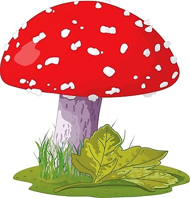 EPS 해외이미지 클립아트 식물 디자인 포스터 잎 일러스트 자연 생물 미술 그래픽 빨간색 라벨 버섯 방 흰색 인사 독약 신용카드 만화 심볼 그림 클립 초대 마법 곰팡이 독버섯 마약 해외202004 해외일러스트 컬러 문화예술 프레임 금융 예절 생태계 파일형식 벡터 이미지허브