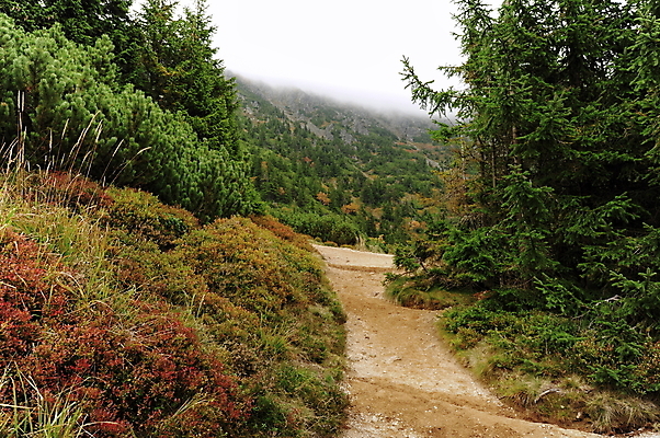 포토 JPG 해외이미지 나무 식물 구름 공원 유럽 도로 길 여행 백그라운드 자국 자연 하늘 산 풍경 사람없음 야외 초록색 여름 파란색 환경 계곡 시골 소나무 숲 오솔길 언덕 장면 내추럴 방법 해외202004 해외포토 자연요소 계절 공공시설 나라 컬러 교통시설 생태계 파일형식 이미지허브