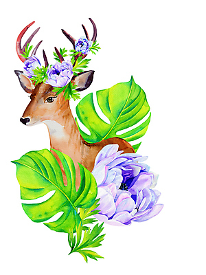JPG 해외이미지 꽃 잎 일러스트 사슴 수채화 사람없음 해외202004 해외일러스트 식물 포유류 파일형식 이미지허브