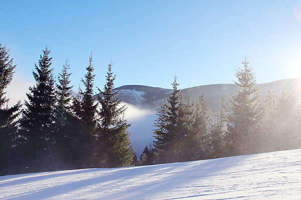 포토 JPG 해외이미지 나무 길 겨울 자연 하늘 스키 산 풍경 경사 사람없음 파란색 맑음 흰색 숲 언덕 휴양지 체코 공화국 선로 해외202004 해외포토 식물 계절 유럽 나라 컬러 날씨 겨울스포츠 장소 생태계 파일형식 이미지허브