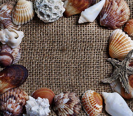 포토 JPG 해외이미지 디자인 별 종이 바다 여행 백그라운드 컨셉 패턴 텍스트 휴가 조개 불가사리 프레임 어류 미술 해변 사람없음 장식 우주 공백 수확 껍질 흰색 직물 신용카드 소라 오브젝트 질감 걸레 내추럴 그런지 스크랩북 해외202004 해외포토 자연요소 컬러 무늬 농업 문화예술 어패류 극피동물 금융 수중동물 청소도구 파일형식 이미지허브