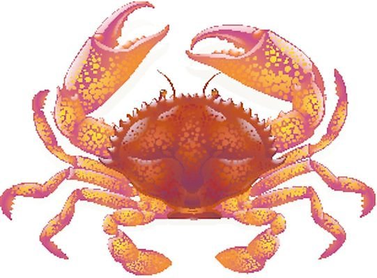 EPS 해외이미지 동물 디자인 실루엣 음료 음식 바다 여행 백그라운드 일러스트 자연 휴가 조개 요리 빨간색 물 여름 식당 저녁식사 게 껍질 흰색 신선 해산물 준비 슛 거짓 고립 삶기 엘리먼트 집게발 해외202004 해외일러스트 자연요소 계절 컬러 어패류 촬영기법 갑각류 상점 식사 생태계 파일형식 벡터 이미지허브