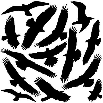 EPS 해외이미지 모양 동물 실루엣 야생동물 백그라운드 일러스트 자연 조류 그림자 그래픽 검은색 펼침 우아함 위험 큼 문신 심볼 깃털 사인 그림 사냥 심플 독수리 육식동물 사냥꾼 까마귀 고립 웅장함 집게발 해외202004 해외일러스트 직업 컬러 컨셉 모션 촬영기법 크기 생태계 파일형식 벡터 이미지허브