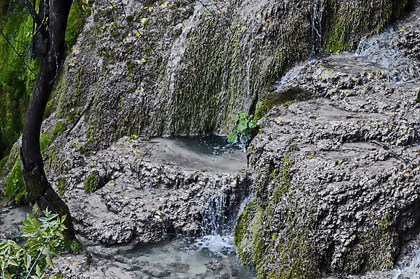 포토 JPG 해외이미지 나무 호수 여행 잎 부분 자연 산 이끼 풍경 사람없음 목재 초록색 물 파란색 강 햇빛 반사 노란색 마을 폭포 안개 바위 물방울 신선 떨어짐 숲 발칸반도 불가리아 사방 해외202004 해외포토 자연요소 식물 컬러 컨셉 재료 날씨 태양 돌_바위 생태계 파일형식 남유럽 이미지허브