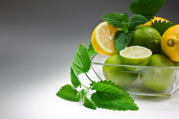 포토 JPG 해외이미지 접시 음식 잎 다이어트 채소 과일 재료 유리 귤 건강 사람없음 초록색 쌓기 흰색 신선 맛 시원함 먹기 레몬 민트 허브 라임 내추럴 고립 모히토 해외202004 해외포토 식물 식기 컬러 컨셉 모션 재질 칵테일 파일형식 이미지허브