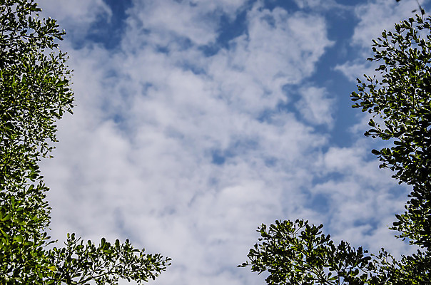 포토 JPG 해외이미지 구름 아들 바다 백그라운드 자연 하늘 날씨 추상 휴식 풍경 사람없음 야외 가로 여름 파란색 빛 햇빛 태양 우주 환경 맑음 침묵 자유 흰색 분위기 부드러움 천국 솜털 내추럴 오존 수평선 해외202004 해외포토 자연요소 계절 컬러 컨셉 무늬 가족 소리 감각 생태계 파일형식 이미지허브