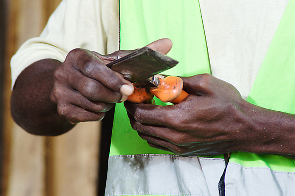 포토 JPG 해외이미지 관리 사람 소년 사람없음 금속 도구 업무 목수 목공예 장인 해외202004 해외포토 직업 남자 어린이 재질 작업 공예 파일형식 이미지허브