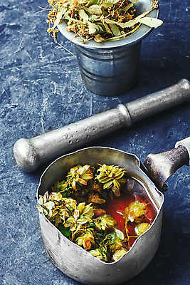 포토 JPG 해외이미지 실내 사람없음 국자 파란배경 아로마테라피 막자사발 해외202004 홉 해외포토 식물 백그라운드 주방용품 내부 파란색 사발 테라피 파일형식 이미지허브