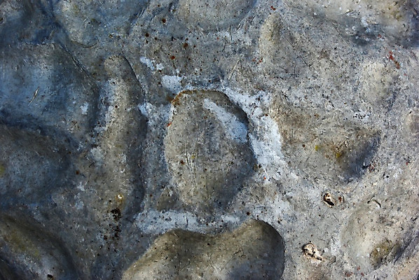 포토 JPG 해외이미지 접시 디자인 산업 벽 백그라운드 패턴 표면 날씨 추상 사람없음 빛 금속 어둠 손상 회색 수확 골동품 얼룩 거친 주름 은색 철 은박지 질감 복고 통조림 시트 한조각 구김 그런지 옛날 울퉁불퉁 철강 아연 효과 해외202004 해외포토 1 식기 컬러 컨셉 무늬 농업 모션 재질 영양소 파일형식 이미지허브