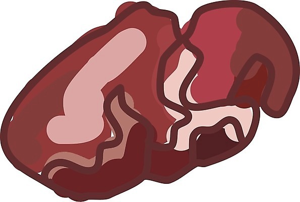 EPS 해외이미지 동물 음식 조각 일러스트 재료 뼈 육류 돼지고기 그래픽 세트 소고기 흰색 신선 그룹 소시지 상품 자르기 수집 흰배경 유기농 햄 날것 베이컨 핫도그 양고기 갈비뼈 고립 살라미 생식 많음 시리즈 해외202004 해외일러스트 웰빙 컬러 백그라운드 컨셉 식재료 모션 패스트푸드 가공식품 파일형식 벡터 이미지허브