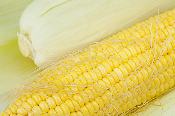 포토 JPG 해외이미지 문화 음식 조각 농업 다이어트 채소 재료 건강 옥수수 요리 사람없음 초록색 농장 노란색 식사 수확 신선 달콤 맛 아침식사 낟알 시리얼 먹기 유기농 알맹이 날것 향기 귀 내추럴 삶기 숙성 채식주의자 해외202004 해외포토 웰빙 산업 컬러 컨셉 모션 곡류 신체부위 채식 냄새 파일형식 이미지허브