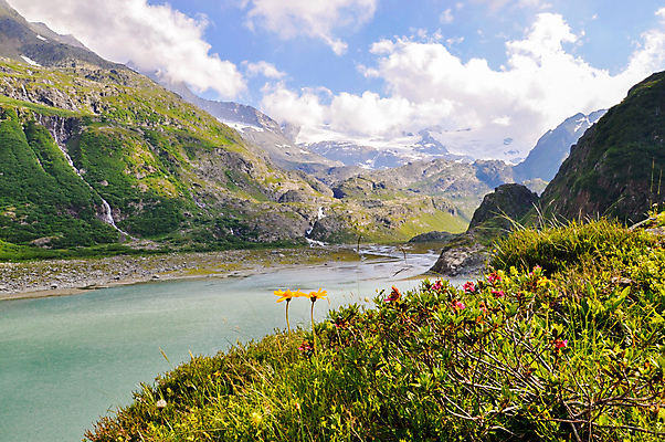 포토 JPG 해외이미지 나무 디자인 공원 꽃 실루엣 여행 백그라운드 겨울 자연 하늘 추상 산 풍경 해변 사람없음 야외 초록색 물 여름 강 태양 갈색 환경 계곡 맑음 침묵 봄 하이킹 흐름 바위 개울 장면 암초 내추럴 전국 절정 해외202004 해외포토 자연요소 식물 계절 공공시설 바다 컬러 컨셉 무늬 레저 날씨 촬영기법 소리 돌_바위 생태계 파일형식 이미지허브