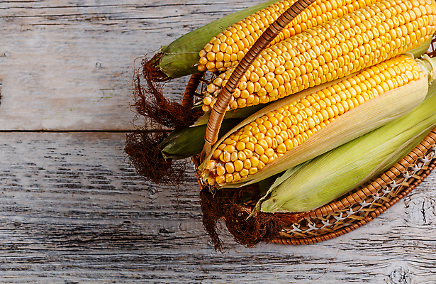 포토 JPG 해외이미지 음식 잎 농업 채소 탁자 건강 옥수수 씨앗 사람없음 초록색 노란색 쌓기 바구니 수확 껍질 시골 신선 오픈 그룹 달콤 낟알 에코 유기농 알맹이 날것 흙더미 내추럴 바이오 숙성 해외202004 해외포토 식물 웰빙 산업 컬러 가구 모션 곡류 환경 흙 맛 파일형식 더미 이미지허브