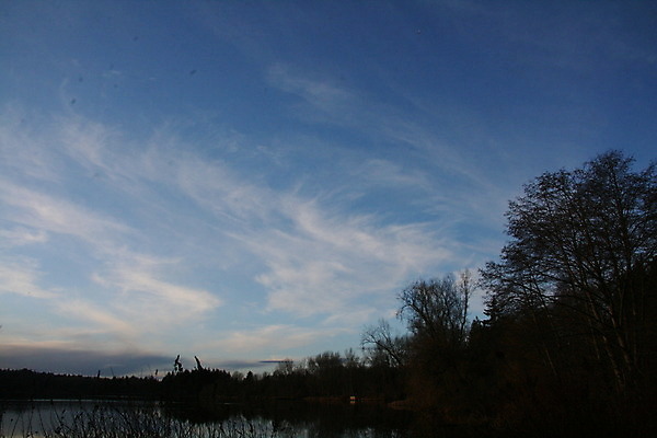 포토 JPG 해외이미지 공원 호수 캐나다 사슴 영국 사람없음 콜롬비아 벤쿠버 서쪽 해외202004 해외포토 공공시설 유럽 북아메리카 포유류 남아메리카 방향 파일형식 이미지허브