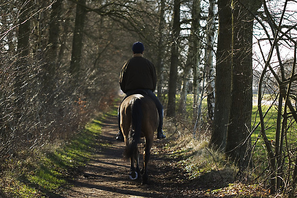 포토 JPG 해외이미지 동물 길 스포츠 포유류 자연 건강 사람없음 야외 봄 추위 승차 해외202004 해외포토 계절 모션 생태계 파일형식 이미지허브