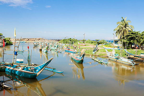 포토 JPG 해외이미지 전통 아시아 모래 바다 섬 여행 휴가 항해 사람없음 물 야자수 평화 항구 만 보트 나룻배 해안도시 엽서 범선 모터보트 포트 감탄 스리랑카 해외202004 해외포토 자연요소 나무 나라 컨셉 배_교통 교통시설 도시 편지 파일형식 이미지허브
