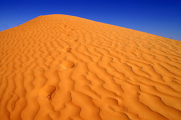 포토 JPG 해외이미지 모래 여행 백그라운드 패턴 오렌지 아프리카 자연 건조 따뜻함 이집트 풍경 사람없음 야외 여름 모래사장 태양 노란색 환경 맑음 사막 뜨거움 거친 황무지 황금 땅 모래언덕 사파리 언덕 질감 먼지 지역 가뭄 모로코 사하라 내추럴 아랍어 수평선 해외202004 해외포토 자연요소 계절 나라 바다 컬러 무늬 과일 날씨 생태계 파일형식 이미지허브