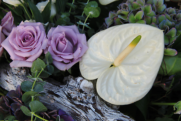 포토 JPG 해외이미지 식물 꽃잎 꽃 꽃다발 자연 사람없음 목재 초록색 장미 보라색 봄 흰색 배열 꽃집 질감 수국 라일락 해외202004 해외포토 나무 계절 컬러 재료 상점 생태계 파일형식 이미지허브